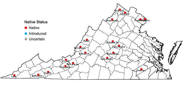 Locations ofPotamogeton illinoensis Morong in Virginia