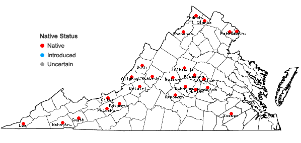 Locations ofPotamogeton illinoensis Morong in Virginia