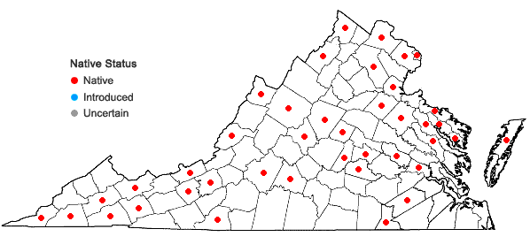 Locations ofPotamogeton nodosus L. in Virginia