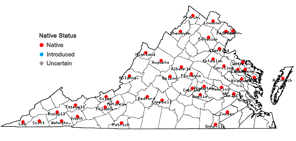 Locations ofPotamogeton nodosus L. in Virginia