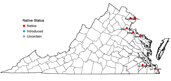 Locations ofPotamogeton perfoliatus L. in Virginia