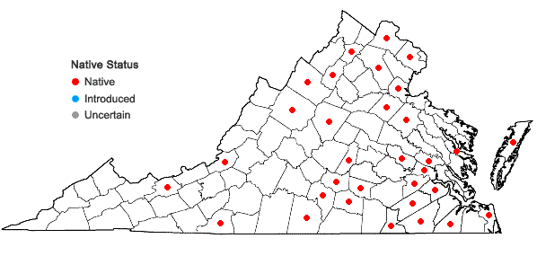 Locations ofPotamogeton pulcher Tuckerman in Virginia