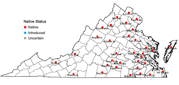 Locations ofPotamogeton pulcher Tuckerman in Virginia