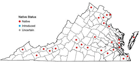 Locations ofPotamogeton pusillus L. in Virginia