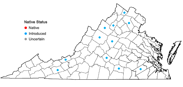 Locations ofPotentilla argentea L. in Virginia