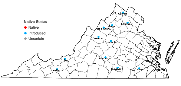 Locations ofPotentilla argentea L. in Virginia