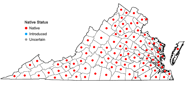 Locations ofPotentilla canadensis L. in Virginia