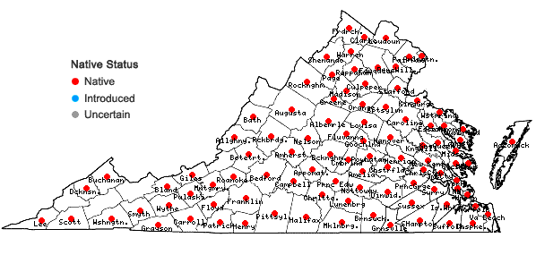 Locations ofPotentilla canadensis L. in Virginia