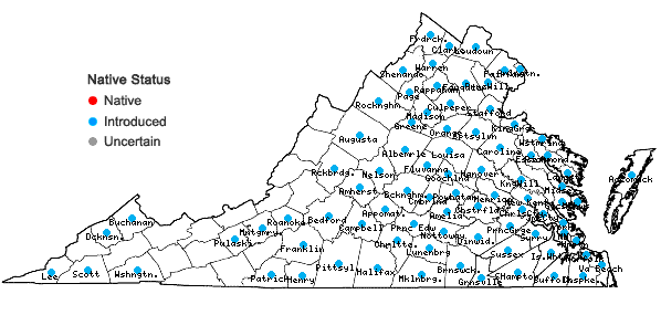 Locations ofPotentilla indica (Andr.) T. Wolf in Virginia