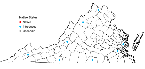 Locations ofPotentilla intermedia L. in Virginia