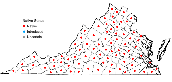 Locations ofPotentilla norvegica L. in Virginia