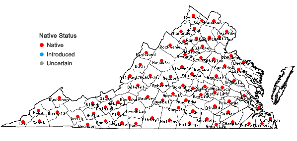 Locations ofPotentilla norvegica L. in Virginia