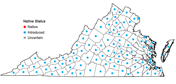 Locations ofPotentilla recta L. in Virginia