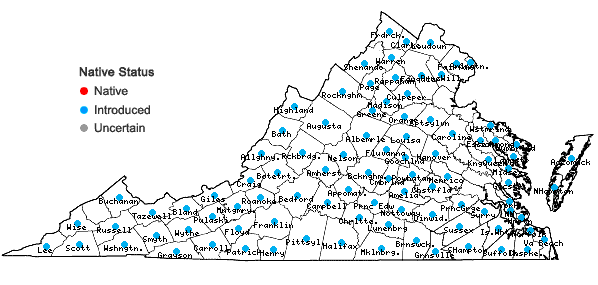 Locations ofPotentilla recta L. in Virginia