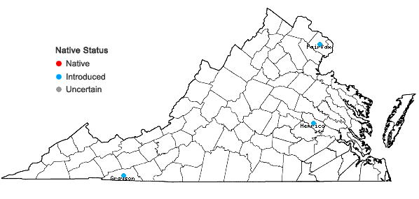 Locations ofPotentilla rivalis Nutt. in Virginia