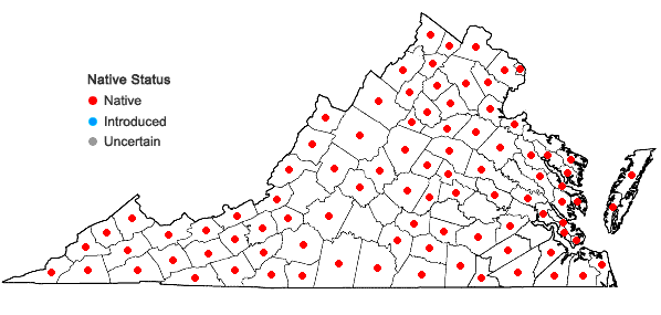 Locations ofPotentilla simplex Michx. in Virginia