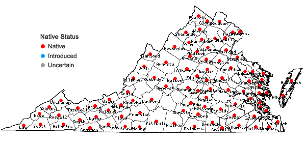 Locations ofPotentilla simplex Michx. in Virginia