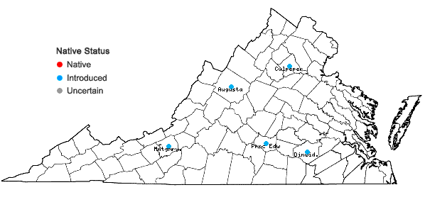 Locations ofPoterium sanguisorba L. var. polygamum (Waldstein & Kitaibel) Visiani in Virginia