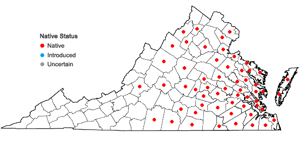 Locations ofProserpinaca palustris L. in Virginia