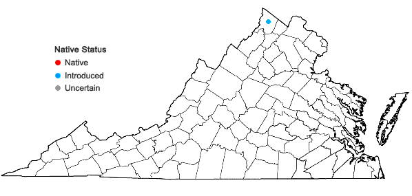 Locations ofPrunella laciniata (L.) L. in Virginia