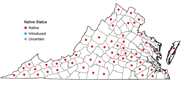 Locations ofPrunus americana Marshall in Virginia