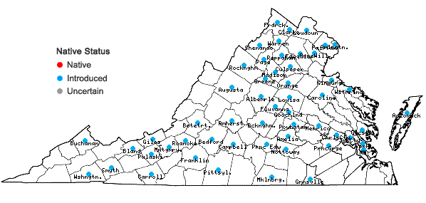 Locations ofPrunus avium (L.) L. in Virginia