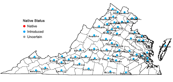 Locations ofPrunus avium (L.) L. in Virginia