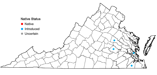 Locations ofPrunus caroliniana (P. Miller) Aiton in Virginia