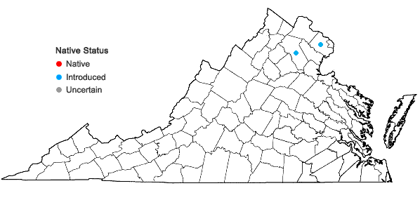 Locations ofPrunus domestica L. var. insititia (L.) Fiori & Paoletti in Virginia