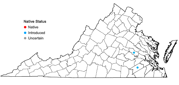 Locations ofPrunus glandulosa Thunb. in Virginia