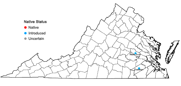 Locations ofPrunus glandulosa Thunb. in Virginia
