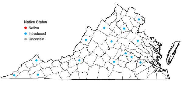 Locations ofPrunus hortulana Bailey in Virginia