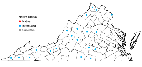 Locations ofPrunus mahaleb L. in Virginia