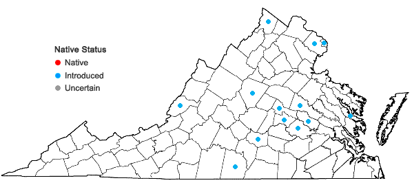 Locations ofPrunus subhirtella Miq. in Virginia