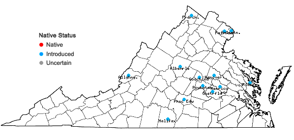 Locations ofPrunus subhirtella Miq. in Virginia