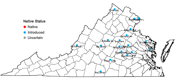 Locations ofPrunus subhirtella Miq. in Virginia