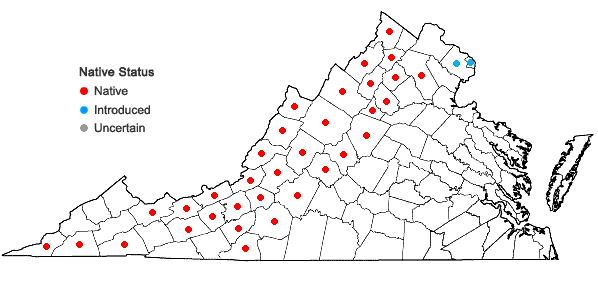 Locations ofPrunus virginiana L. var. virginiana in Virginia