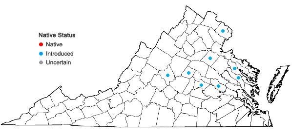 Locations ofPseudosasa japonica (Sieb. & Zucc. ex Steud.) Makino ex Nakai in Virginia