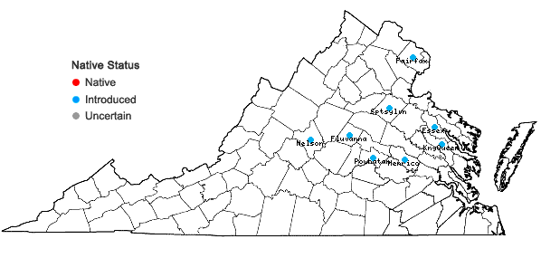 Locations ofPseudosasa japonica (Sieb. & Zucc. ex Steud.) Makino ex Nakai in Virginia