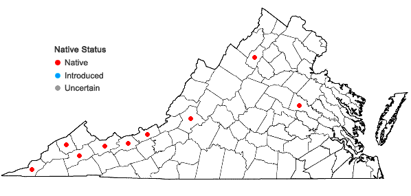 Locations ofPseudotaxiphyllum distichaceum (Mitt.) Z. Iwats. in Virginia