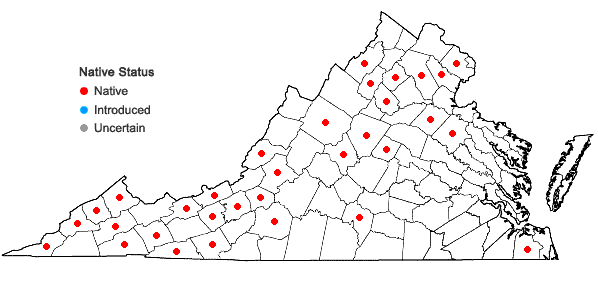 Locations ofPseudotaxiphyllum elegans (Brid.) Z. Iwats. in Virginia