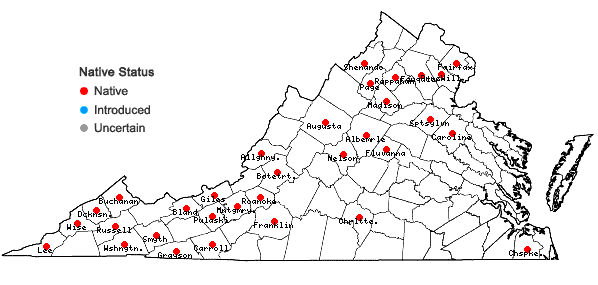 Locations ofPseudotaxiphyllum elegans (Brid.) Z. Iwats. in Virginia