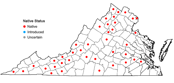 Locations ofPtelea trifoliata L. var. trifoliata in Virginia