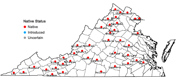 Locations ofPtelea trifoliata L. var. trifoliata in Virginia