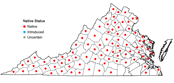 Locations ofPteridium aquilinum (L.) Kuhn ssp. latiusculum (Desv.) Hulten in Virginia