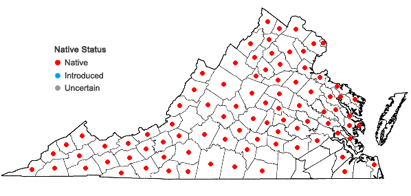 Locations ofPteridium aquilinum (L.) Kuhn ssp. latiusculum (Desv.) Hulten in Virginia