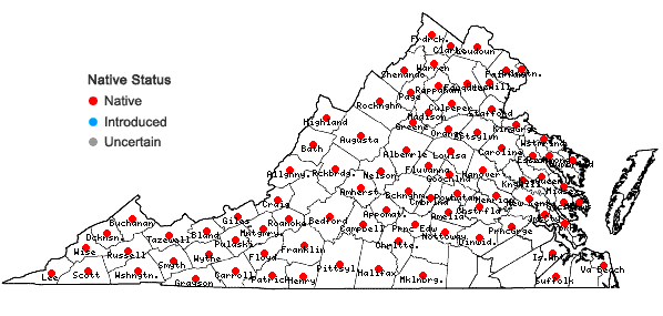 Locations ofPteridium aquilinum (L.) Kuhn ssp. latiusculum (Desv.) Hulten in Virginia