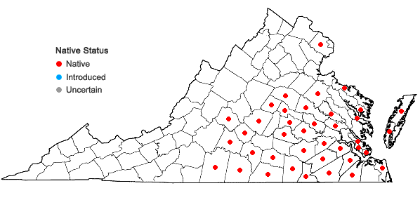 Locations ofPteridium aquilinum (L.) Kuhn ssp. pseudocaudatum (Clute) Hulten in Virginia
