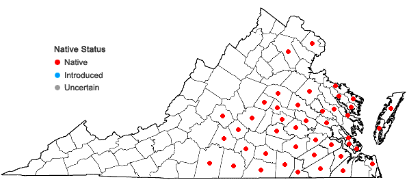 Locations ofPteridium aquilinum (L.) Kuhn ssp. pseudocaudatum (Clute) Hulten in Virginia