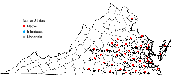 Locations ofPteridium aquilinum (L.) Kuhn ssp. pseudocaudatum (Clute) Hulten in Virginia